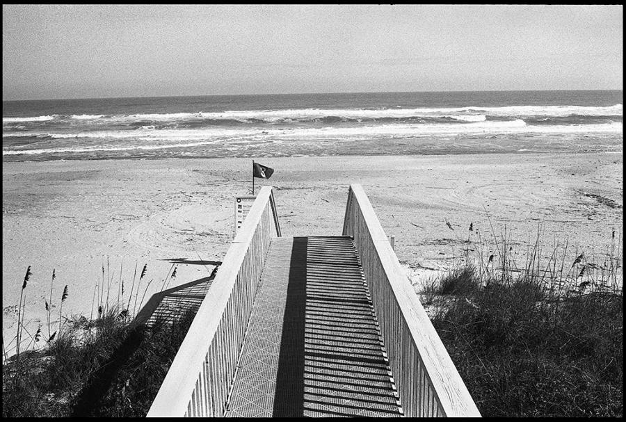 on the road - black and white photo