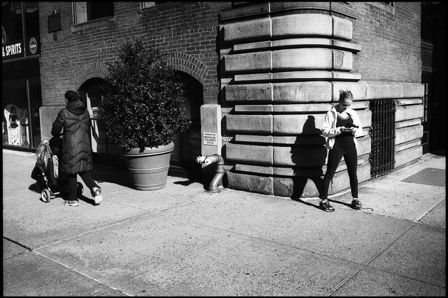 noho - black and white photo
