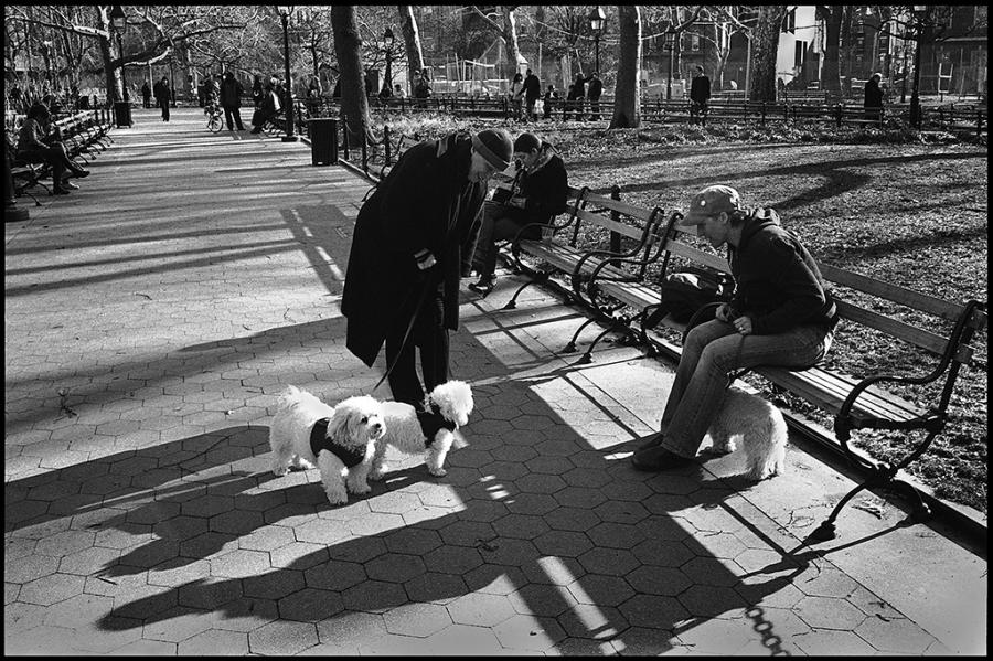 washington square park - black and white photo