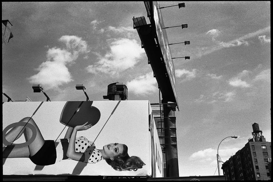 noho - black and white photo