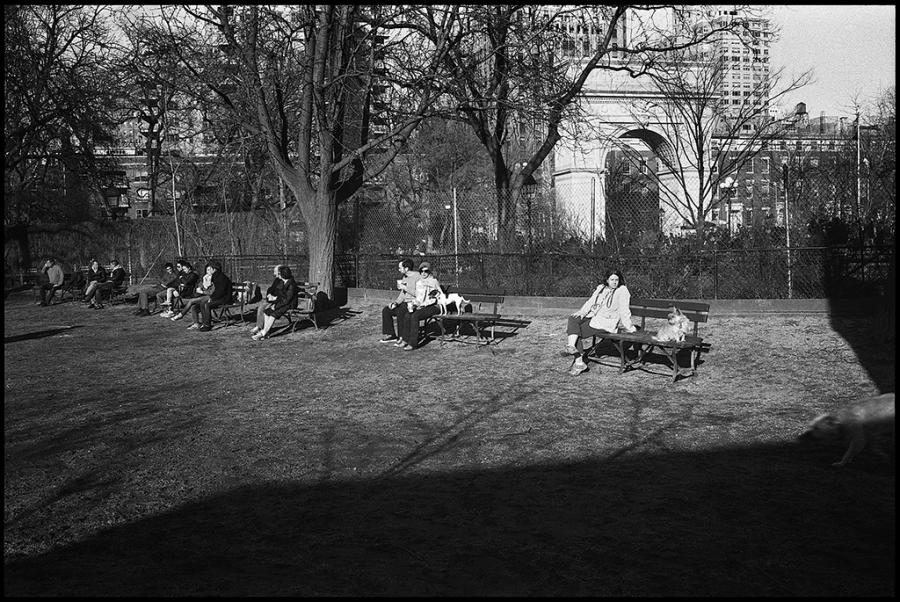 washington square park - black and white photo
